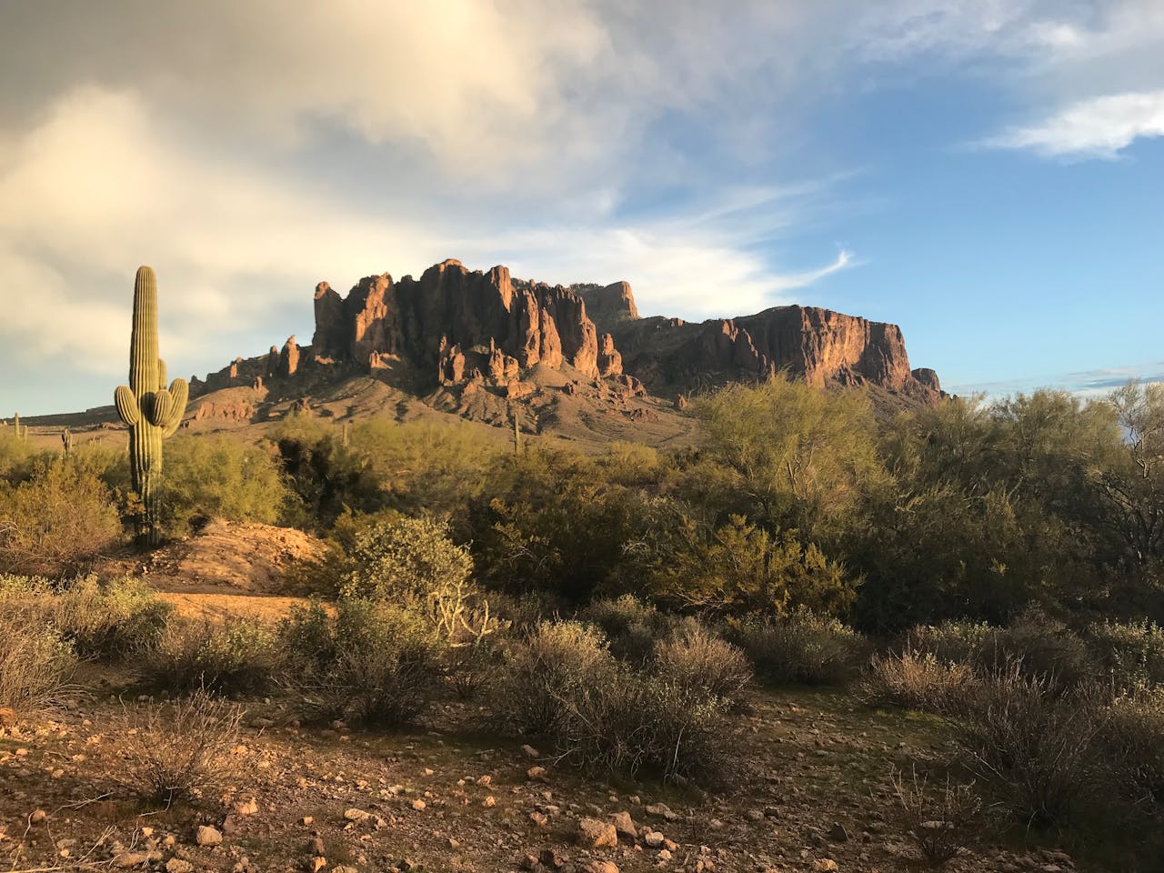 Phoenix desert picture